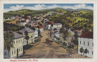 OÖ: Gruß aus Nieder - Thalheim ca. 1920 Häuser und Strassen Ansicht