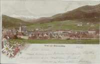 Steiermark: Gruß aus Mürzzuschlag Litho 1899 mit Edelweiss Schmuck herrliche Ansicht ( Correspondenz Tittel Komponist )