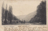 Gruß aus Potstyna in Böhmen Landhaus, Wälder, Bäume usw.. 1900