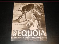 2521: Sequoia - Herrin der Wildnis,  Jean Parker,