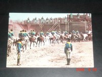 Das war Buffalo Bill No. 29   Fort Adam in Alarm