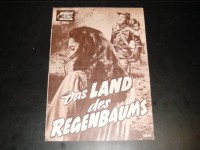 Land des Regenbaums,  Elisabeth Taylor,  Montgomery Clift,