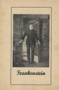 Zwischendruck: Frankenstein ( James Whale ) Boris Karloff, Collin Clive, Mae Clarke, John Boles,