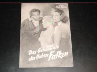 861: Das Geheimnis des Hohen Falken,  Richard Häußler,