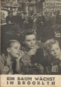 464: Ein Baum wächst in Brooklyn, Dorothy McGuire,