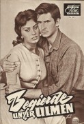 Begierde unter Ulmen  ( Delbert Mann )  Sophia Loren, Burl Ives, Anthony Perkins, Frank Overton, Pernell Roberts