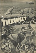 542: Die Tierwelt ruft  (The Animal Wourld) (Irwin Allen)
