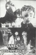 10108: James und der Riesenpfirsich ( Tim Burton ) Paul Terry, Joanna Lumley, Miriam Margolyes, J. Stephen Coyle, Steven Culp, Cirocco Dunlap, Michael Girardin, Tony Haney, Katherine Howell, Chae Kirby, Jeff Mosley, Emily Rosen