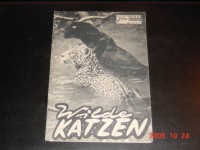 2029: Wilde Katzen (Jungle Cat) (James Algar)