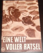 635: Eine Welt voller Rätsel ( Walt Disney )