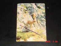 Winnetou I,  E 34  Marie Versini  ( Todesszene )