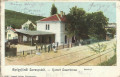 Burgenland: Gruß aus Sauerbrunn ( Kurort ) Litho 1899 Bahnhof ( Irrläufer ) 