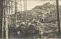 OÖ: Gruß aus Leonfelden 1914 Private Fotokarte mit Landschaft ...