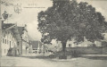 Tirol: Gruß aus Reutte 1907 Strassenpartie mit alter Linde
