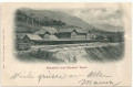 Italien: Gruß aus Tarvis 1899 Bahnhotel und Bahnhof Züge usw.
