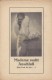 Zwischendruck: Madame sucht Anschluß ( das Lied ist aus ..) ( Geza von Bolvary ) Liane Haid, Willy Forst, Otto Wallburg, Margarete Schlegel, Fritz Odemar, Ernst Verebes, Hedwig Bleibtreu, 