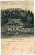 NÖ: Gruß vom Sonnwendstein ( Göstritz ) 1901 mit Postablage F. Schüler Alpenhaus
