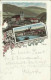 OÖ: Gruß aus Garsten bei Steyr Litho 1898 Ennsseite, Eisenbahn usw... nach Linz