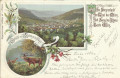 Steiermark: Gruß aus Mürzzuschlag Litho 1900 Jagen Hirsch Edelweiss usw.
