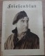 243: Friesenblut ( Fred Sauer ) Dr. Phillipp Manning, Grete Reinwald, H. A. Schlettow, Gustav Fröhlich, Frieda Lehndorff, Jenny Jugo,