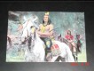 Das war Buffalo Bill No. 41  " Schurke "  Gelbe Hand