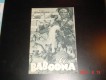 1134: Baboona  Afrikanischer Busch  Martin und Osa Johnson