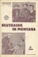 1176: Blutrache in Montana,  William Elliott,  Walter Brennan,