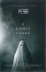 13765: A Ghost Story ( David Lowery ) Casey Affleck, Rooney Mara, Kenneisha Thompson, Liz Cardenas Franke, 