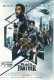 13786: Black Panther ( Ryan Coogler ) Chadwick Boseman, Michael B. Jordan, Lupita Nyong´o, Martin Freeman, Angela Bassett, Forest Whitaker, Andy Serkis,