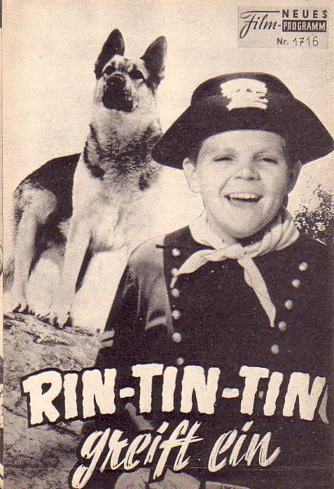 1716: Rin Tin Tin greift ein (Robert G. Walker) Jim L. Brown, Lee Aaker, Joe Sawyer