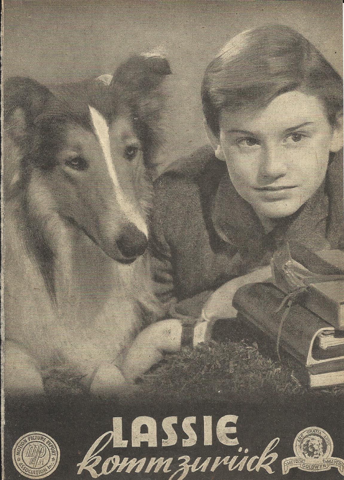 128: Lassie komm zurück ( Fred M. Wilcox ) Elisabeth Taylor, Roddy McDowall, Donald Crisp, Edmund Gwenn, Dame May Whitty, Alan Napier, Nigel Bruce,