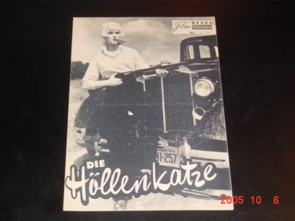 1336: Die Höllenkatze (William Witney) Dorothy Provine, Jack Hogan, Richard Bakalyan, Joseph Turkel, William Stevens, Patt Huston, Ken Lynch, Douglas Kennedy, John Halloran