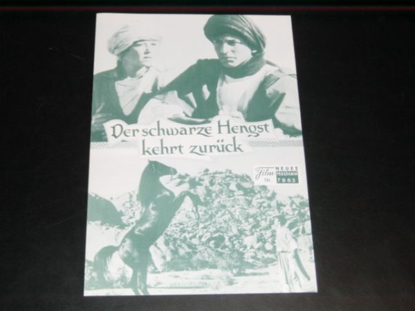 7963: Der schwarze Hengst kehrt zurück, Teri Garr,
