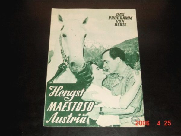 474: Hengst Maestoso Austria, Nadia Gray, Paul Klinger,