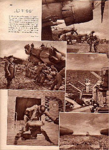D III 88 ( Flieger II WK ) Hermann Braun, Otto Wernicke, (GV)