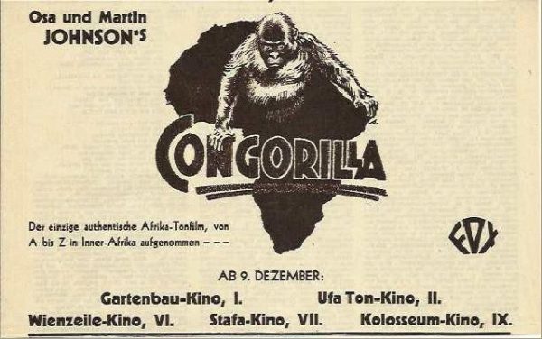 Congorilla ( Afrika ) ( Osa und Martin Johnson )
