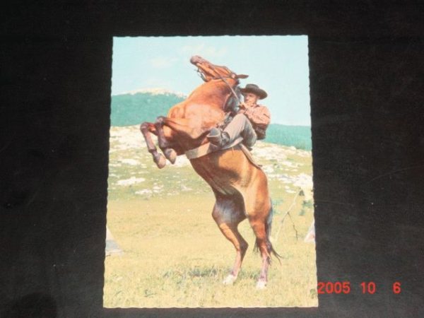 Winnetou II, R 18 Ein Verbrecher,