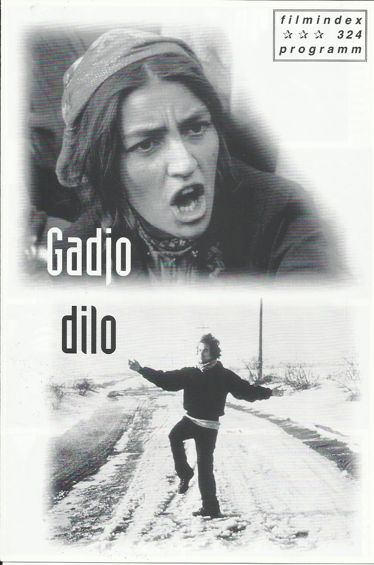 324: Gadjo dilo ( Tony Gatlif ) Romain Duris, Rona Hartner, Izidor Serban, Ovidiu Balan, Florin Moldovan, Dan Astiieani, Valentin Teodosiu, Florin Moldovan, Mandra Ramcu