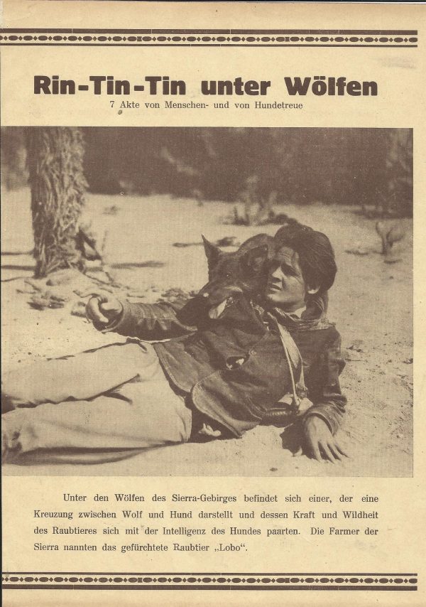 Rin - Tin - Tin unter Wölfen