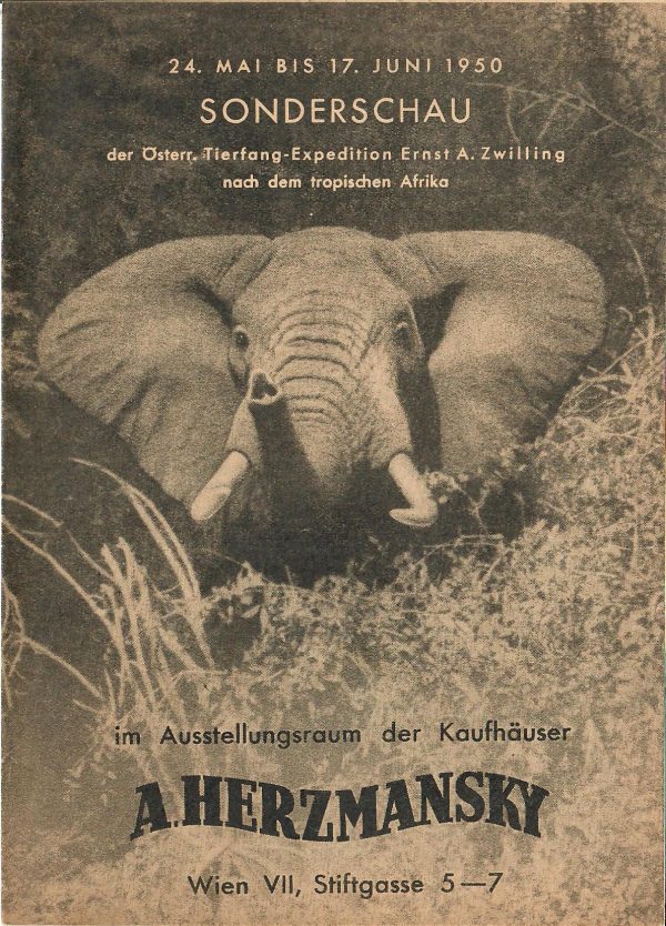 Tierfang Expedition Ernst A. Zwilling ( Elefanten usw. ) Sonderschau 1950 im Kaufhaus Herzmansky Wien VII.